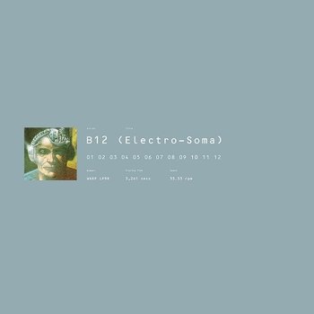 Electro-Soma, płyta winylowa - B12