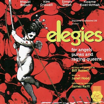 Elegies for Angels, Punks and Raging Queens - Janet Hood