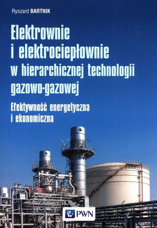 Elektrownie I Elektrociepłownie W Hierarchicznej Technologii Gazowo ...