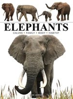 Elephants Jackson Tom