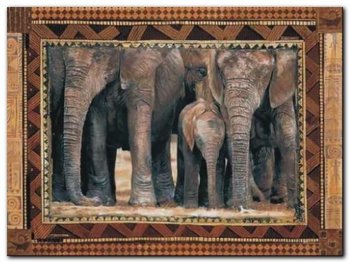 Elephants plakat obraz 80x60cm - Wizard+Genius