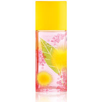 elizabeth arden green tea mimosa woda toaletowa 50 ml     