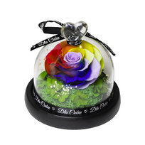 Dom i ogród - Okazje