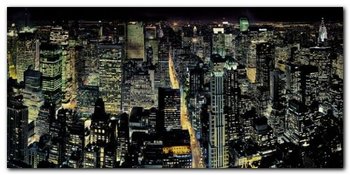 Empire State B. plakat obraz 100x50cm - Wizard+Genius