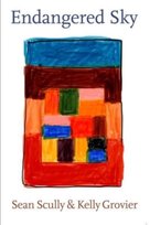 Endangered Sky: Sean Scully & Kelly Grovier Hatje Cantz