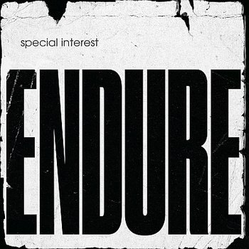 Endure (Limited Edition) (żółty winyl) - Special Interest