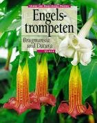 Engelstrompeten. Brugmansia und Datura Preißel Ulrike, Preißel Hans-Georg