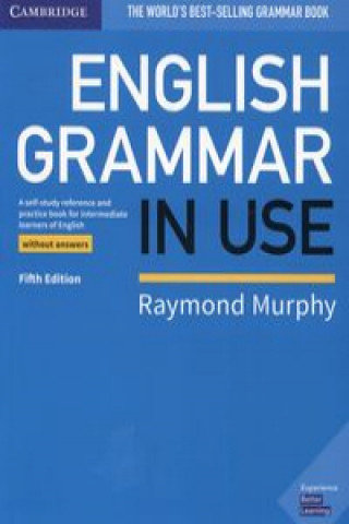 English Grammar in Use Book Without Answers: A Self-Study Reference and ...