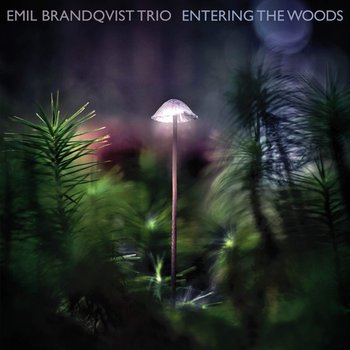 Entering The Woods - Emil Brandqvist Trio