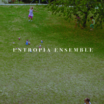 Entropia Ensemble Entropia Ensemble
