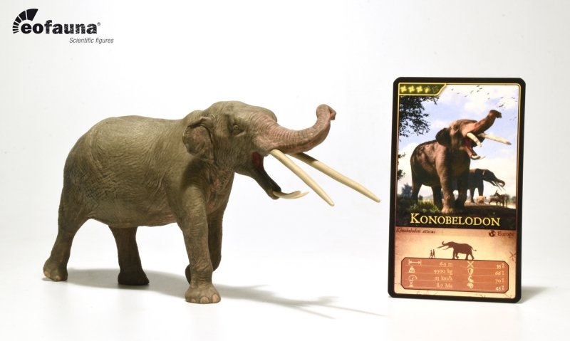 Zdjęcia - Figurka / zabawka transformująca Eofauna 008 Konobelodon 10x20cm 1:35