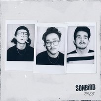 EP25 Sonbird
