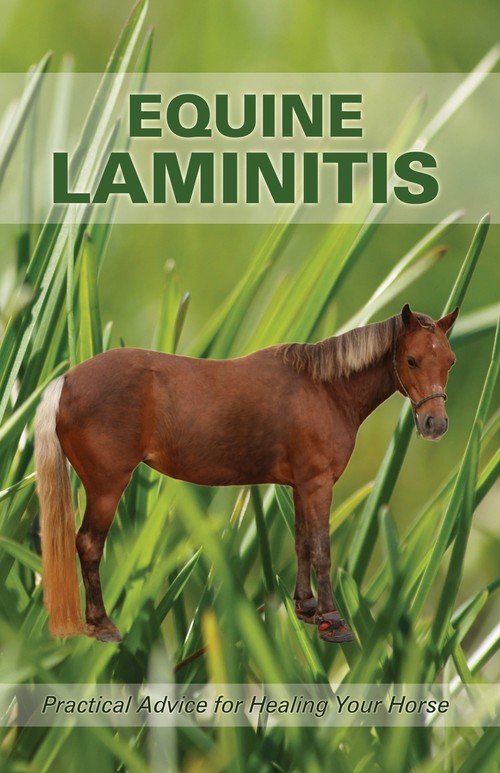 Equine Laminitis Jenny Edwards M. Książka w Empik