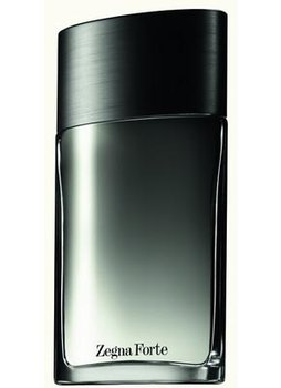 Ermenegildo Zegna, Forte, woda toaletowa, 50 ml - Ermenegildo Zegna