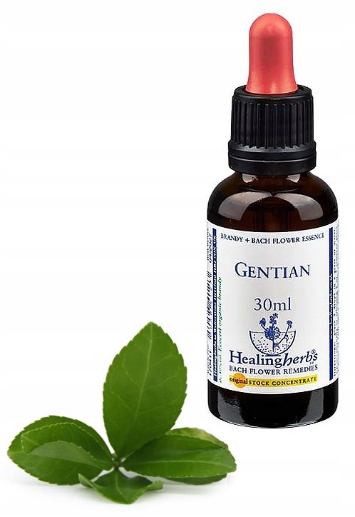 Empik Esencja Dr Bacha 12. GENTIAN Goryczka gorzkawa30ml