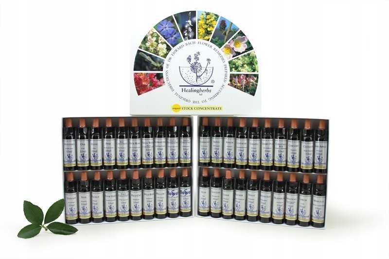 Empik Esencja Dr Bacha 30.SWEET CHESTNUT/Kasztan 10ml