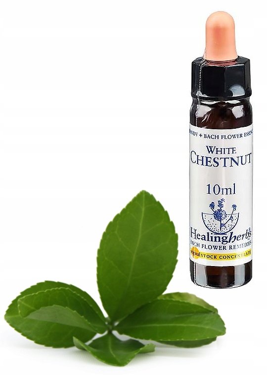 Empik Esencja DR Bacha nr 35. WHITE CHESTNUT / Kasztanowiec zwyczajny 10 ml