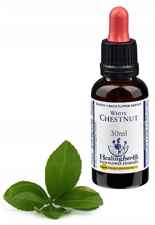 Empik Esencja DR Bacha nr 35. WHITE CHESTNUT / Kasztanowiec zwyczajny 30 ml