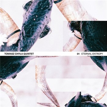 Eternal Entropy - Tomasz Chyła Quintet