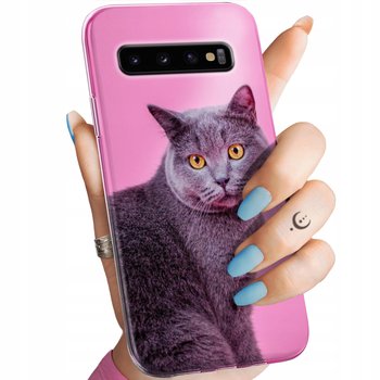 Etui Do Samsung Galaxy S10 Wzory Koty Kotki Kociaki Obudowa Pokrowiec Case - Hello Case