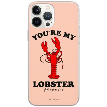 Etui Friends dedykowane do Xiaomi REDMI 9C, wzór: Friends 007 Etui całkowicie zadrukowane, oryginalne i oficjalnie licencjonowane - ERT Group