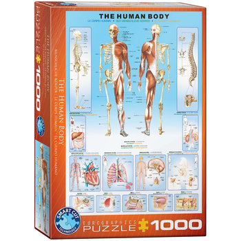 Eurographics, puzzle, The Human Body, 1000 el. - EuroGraphics