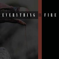 Everything Is Fire Everything Is Fire
