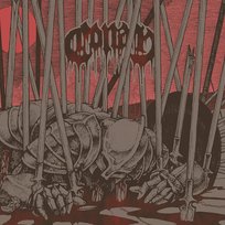 Evidence Of Immortality (limited) Conan