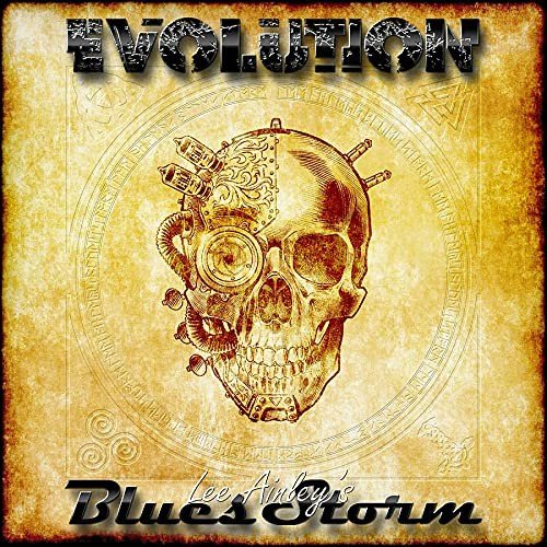 Evolution Various Artists Muzyka Sklep