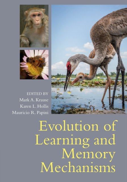 Evolution Of Learning And Memory Mechanisms - Opracowanie Zbiorowe ...