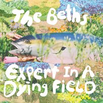 Expert In A Dying Field The Beths