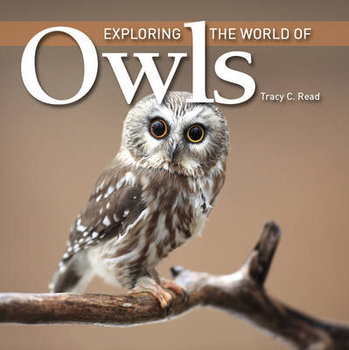 Exploring the World of Owls - Read Tracy C.