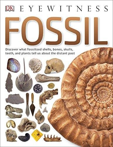 Eyewitness Fossil - Dorling Kindersley Ltd. | Książka W Empik