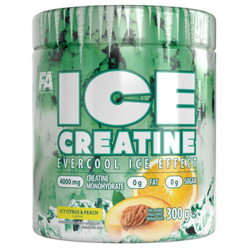 Fa Ice Creatine 300G Icy Citrus Peach - Fitness Authority