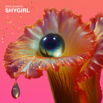 Fabric Presents Shygirl, płyta winylowa - Shygirl, Various Artists