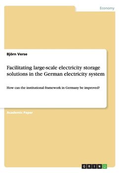 Facilitating large-scale electricity storage solutions in the German electricity system - Verse Björn