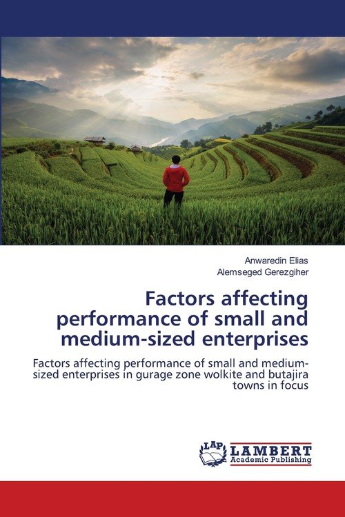 Factors Affecting Performance Of Small And Medium-sized Enterprises ...