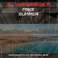 Fake Summer DJ Noradrenalin