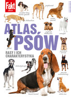 Najczęściej kupowane