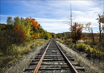 Fall along the railroad tracks in Bangor, Maine., Carol Highsmith - plakat 70x50 cm - Galeria Plakatu