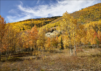 Fall aspens in San Juan County, Colorado., Carol Highsmith - plakat 29,7x21 cm - Galeria Plakatu