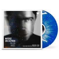 Fallen Angel, płyta winylowa