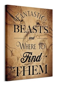 Fantastic Beasts Beast Drawings  - obraz na płótnie - Pyramid Posters