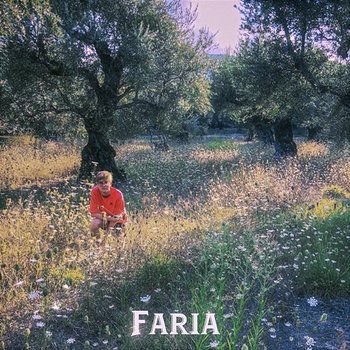 Faria - Faria