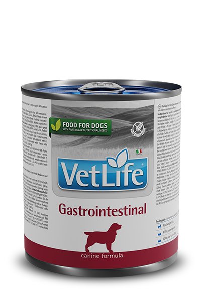 Farmina Vet Life Gastrointestinal Dog 300g - FARMINA | Sklep EMPIK.COM