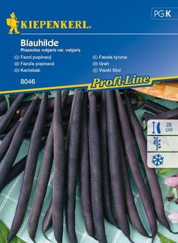 Fasola tyczna Blauhilde Phaseolus vulgaris var. vulgaris - KIEPENKERL
