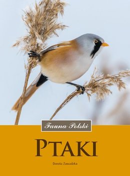 Fauna Polski. Ptaki - Zawadzka Dorota