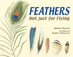Feathers - Stewart Melissa