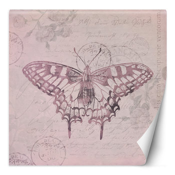 Feeby Fototapeta Motyl Na Różowym Tle Andrea Haase 150X150 - Feeby