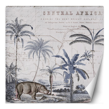 Feeby Fototapeta Niebieskie Tło Hipopotam Zwierzęta Andrea Haase 150X150 - Feeby